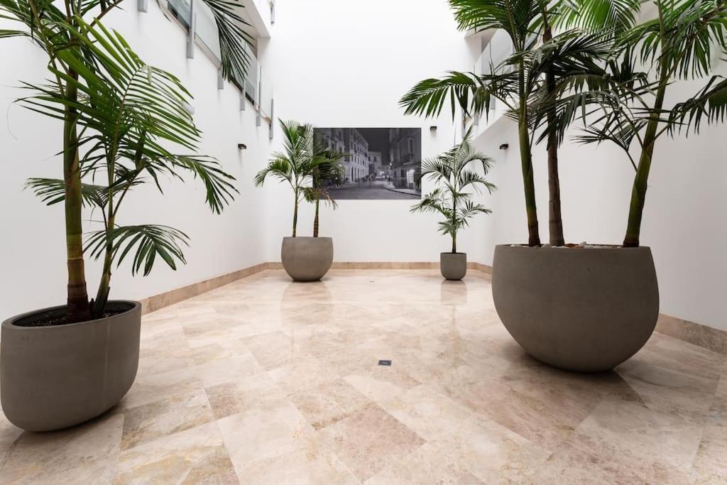 Premium Flat In Malaga Center With Free Parking Appartement Buitenkant foto